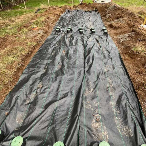 Septic Field Maintenance